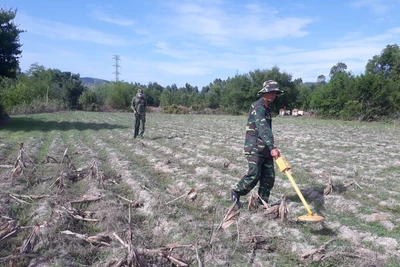 Đi qua nỗi đau bom mìn: Hồi sinh những vùng đất chết