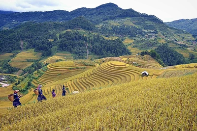 Mù Cang Chải với mục tiêu "huyện du lịch"