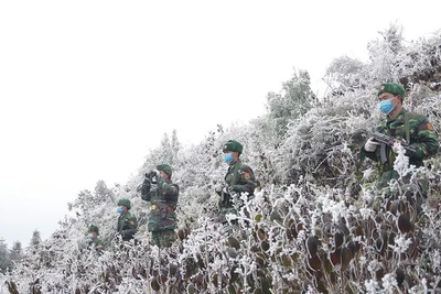 Cao hơn cả núi