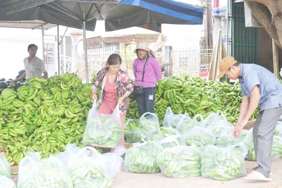 Mang Yang: Đa dạng cây trồng để thích ứng với khô hạn