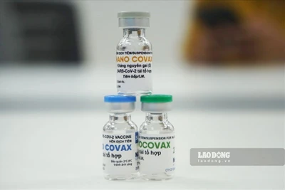 Vaccine Nano Covax liều 25mcg đạt tỉ lệ 100% người tiêm sinh miễn dịch