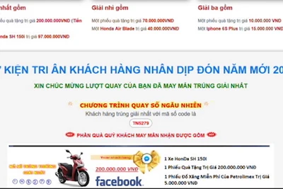 Hơn 700 tên miền được dùng để thực hiện khuyến mại lừa đảo