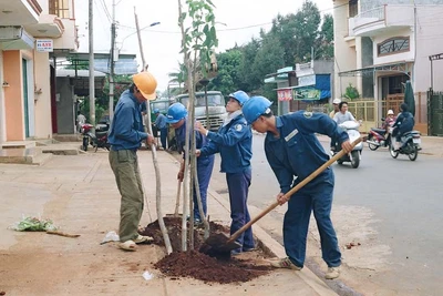 Gia Lai: Tổ chức "Tết trồng cây đời đời nhớ ơn Bác Hồ"