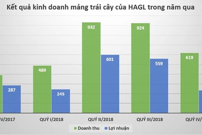 Trồng cao su, trái cây có lãi, công ty bầu Đức vẫn báo lỗ