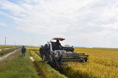 Ia Pa: Thực hiện thắng lợi các chỉ tiêu kinh tế-xã hội