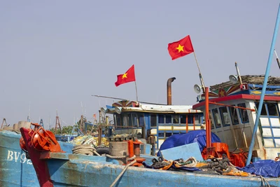 Làng chài "tỉ phú"