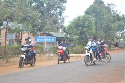 "Vô tư" vi phạm Luật Giao thông Đường bộ