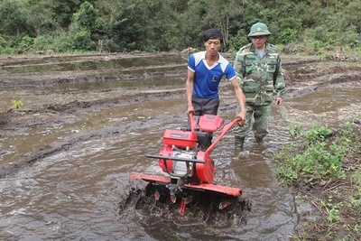 Bum Tở, ngày trở về… ánh sáng