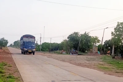 Hạt nhân lãnh đạo làng Ring