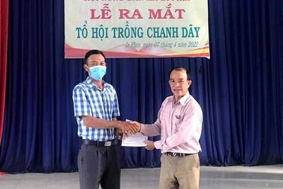 Chư Prông ra mắt Tổ hội trồng chanh dây