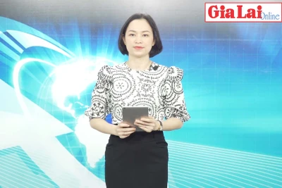 Gia Lai 48h: Vụ khai thác hơn 1.000 m3 cát ở An Khê: Phạt hơn 180 triệu đồng với 1 doanh nghiệp và 4 cá nhân