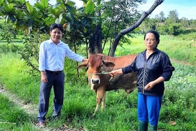 An Khê: Tín hiệu lạc quan từ công tác giảm nghèo