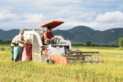 Những chặng đường lịch sử vẻ vang - Kỳ 2: Khắc phục hậu quả chiến tranh, ổn định sản xuất, đời sống