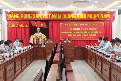 Triển khai công tác kiểm tra, giám sát, thi hành kỷ luật Đảng quý II