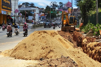 Du lịch Đà Lạt dịp lễ 30.4 - 1.5: Công bố 7 số điện thoại nóng