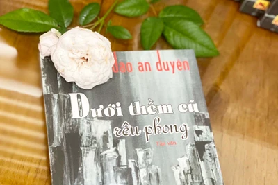 Dưới thềm cũ rêu phong