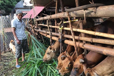 Amrim-Người cựu binh hết lòng vì dân làng