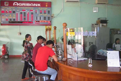 Agribank Gia Lai đồng hành cùng tam nông