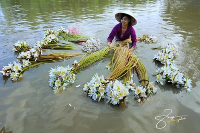 Vẻ đẹp say lòng người của An Giang