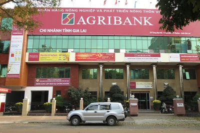 Agribank Gia Lai chuẩn bị chia tách làm 2 chi nhánh