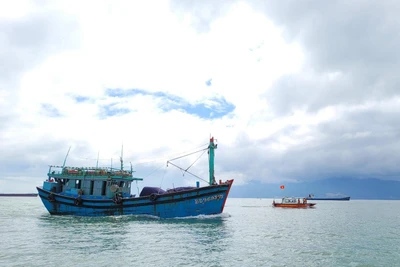 Bình Định: Một ngư dân tử vong sau 5 ngày xung đột với 2 ngư dân khác