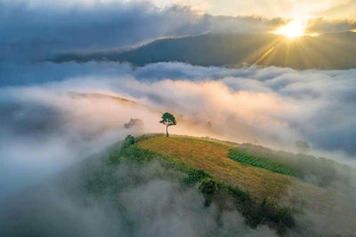 Ngang qua đỉnh núi mây ngàn