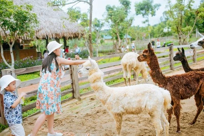 90% du khách lo ngại sẽ bị cách ly tại điểm đến hoặc khi quay về nhà