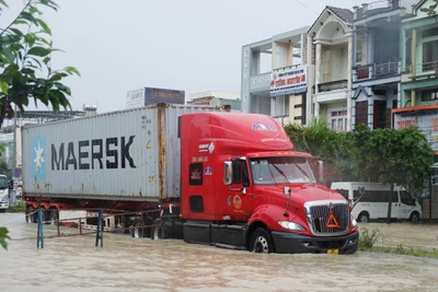 Bình Định: Đề nghị khắc phục các điểm ngập úng, sạt lở trên các quốc lộ