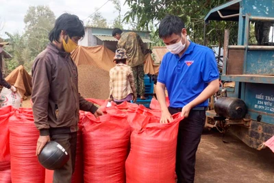 Đak Đoa chú trọng công tác hậu phương quân đội