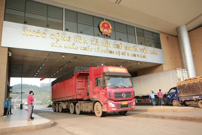 Quảng Ninh, Lào Cai dừng tiếp nhận phương tiện chở một số mặt hàng qua lối mở, cửa khẩu