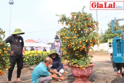 Pleiku rộn ràng ngày cuối năm