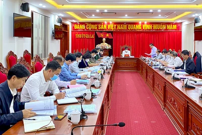 Hội nghị kiểm điểm Ban Thường vụ Tỉnh ủy năm 2021