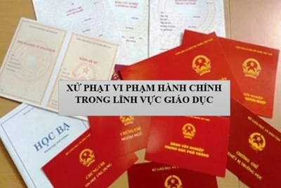 Vi phạm hành chính trong lĩnh vực giáo dục có thể bị phạt 150 triệu đồng