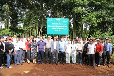 Gia Lai: Tìm giải pháp phát huy tối đa vai trò khuyến nông cộng đồng