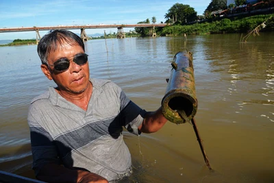 Săn cá "quý" trên sông Trà