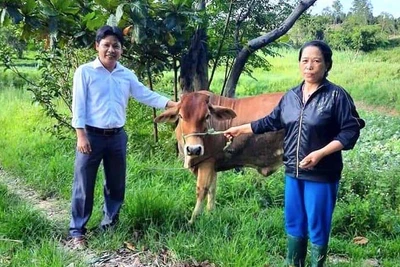 Bộ Tài chính trả lời cử tri Gia Lai về phân bổ kinh phí thuộc Chương trình mục tiêu quốc gia giảm nghèo bền vững