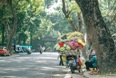 Đẹp nao lòng Hà Nội vào thu