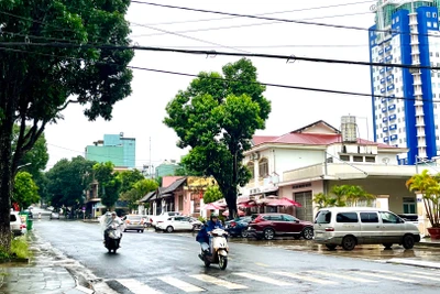 Cảnh báo lũ quét, sạt lở đất và ngập úng cục bộ tại Gia Lai và Bình Định