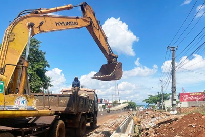 Bộ Nông nghiệp và PTNT, Bộ Giao thông-Vận tải trả lời cử tri Gia Lai về các kiến nghị liên quan