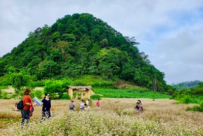 Đi phượt ở Hà Giang mùa này có gì hay?