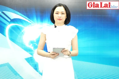 Gia Lai 48h: "Cầu nối" giúp hợp tác xã vay vốn phát triển sản xuất kinh doanh