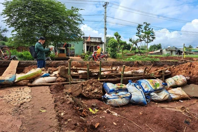 Sẽ thu hồi giấy phép nếu chậm khắc phục các tồn tại trong thi công Dự án nâng cấp quốc lộ 19