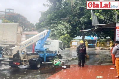 Gia Lai: Nhiều diện tích hoa màu bị ngã đổ, nhà dân bị tốc mái