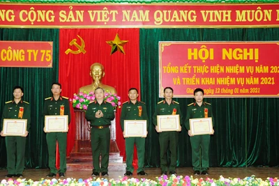 Chi nhánh Công ty 75 phấn đấu doanh thu đạt hơn 283 tỷ đồng