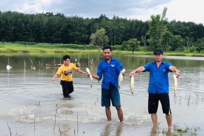 Cách gây quỹ Đoàn độc đáo, hiệu quả