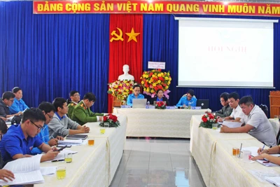 Hội LHTN Việt Nam tỉnh Gia Lai: Tổng kết công tác Hội và phong trào thanh niên năm 2020