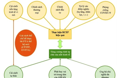 Thực hiện hiệp định Đối tác Kinh tế toàn diện khu vực (RCEP): Cơ hội thu hút đầu tư và nâng tầm doanh nghiệp Việt