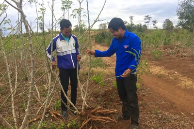 Tuổi trẻ Mang Yang sáng tạo trong gây quỹ Đoàn