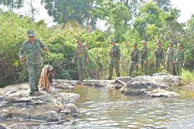 Xuân biên giới