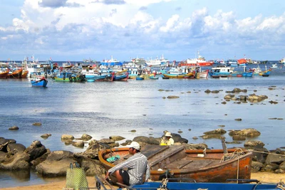 Phú Quý xa mà gần